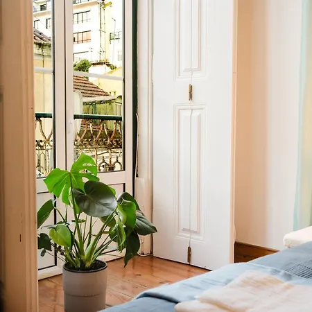 Hot Tub & Garden In Heart Of Lisbon, 5br Wac דירה